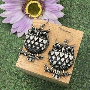🌼 Owl Silver Rhinestone Dangle Earrings - Owl Earrings